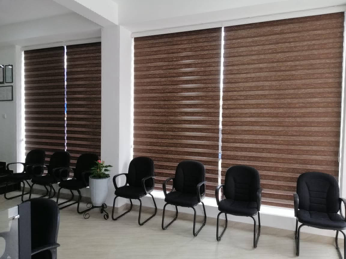 Zebra Blinds