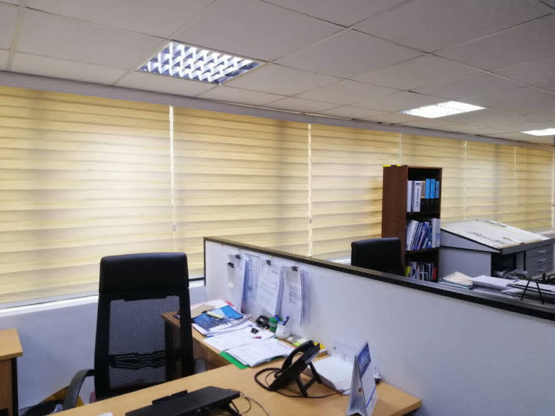 Zebra Blinds