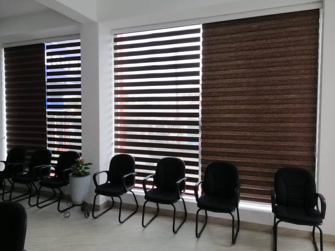 Zebra Blinds