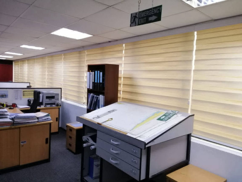 Zebra Blinds