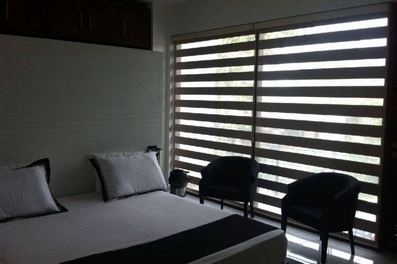 Zebra Blinds